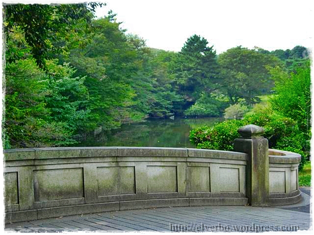 yoyogi park tokyo japan